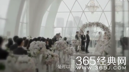 张乘乘徐姑姑复婚引热议 原来是热剧《安家》角色