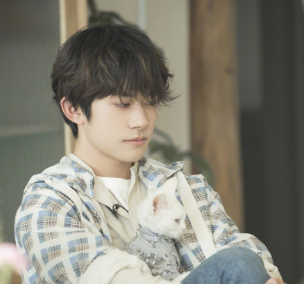 易烊千玺卷发造型清新上线 胖了十斤的脸更帅啦