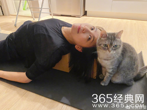 贾静雯练瑜伽享受生活 挑战高难度倒立体态轻盈