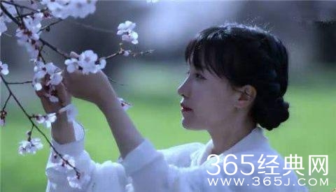 李子柒又火了！YouTube粉丝破千万，成Youtube中文创作第一人