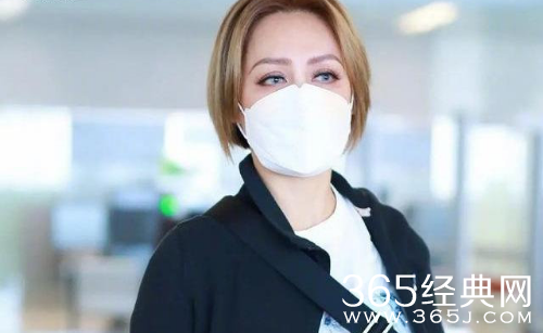 妹妹们靠边 《乘风破浪的姐姐们》即将来袭