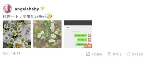 生活博主开课！baby在线科普小雏菊和野花的区别