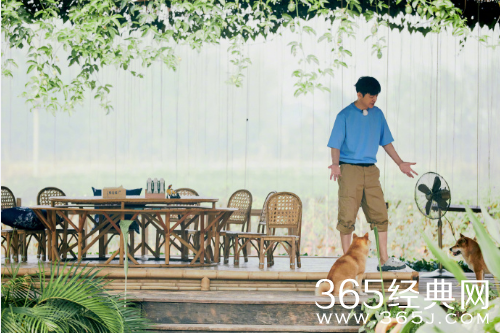 宝藏综艺盘点：向往的生活第四季 夏日午后的一杯沁饮