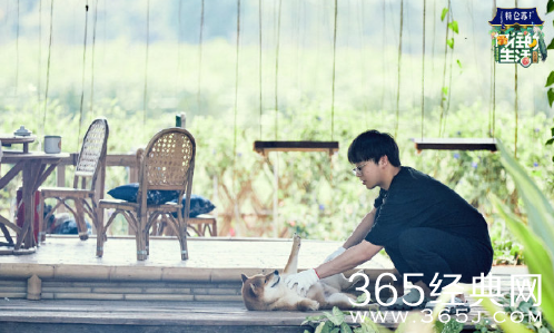 宝藏综艺盘点：向往的生活第四季 夏日午后的一杯沁饮