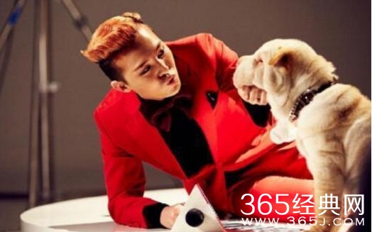 权志龙爱狗人设崩塌？一狗疏于照顾，一狗已经遗弃