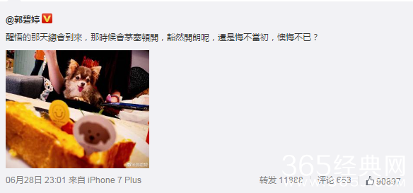 向太回应郭碧婷发文 怎么有种护自家小孩的感觉