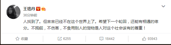 王珞丹寻鸭启事登热搜  究竟是怎么回事呢？