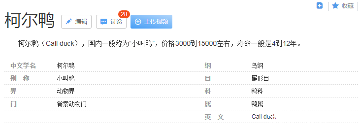 王珞丹丢失的宠物鸭疑似与王思聪同款  一只价格过万