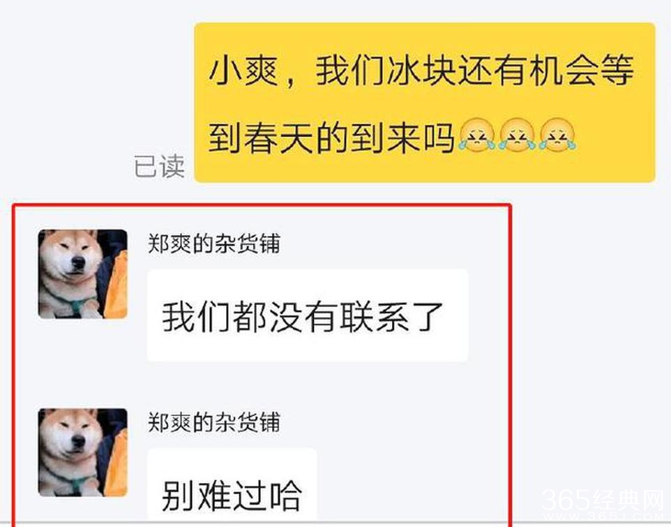 郑爽12字回应与张翰关系称：已无联系