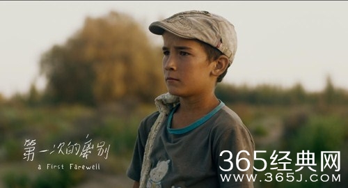 7月20日电影院复工，《第一次的离别》《荞麦疯长》等四部影片率先定档