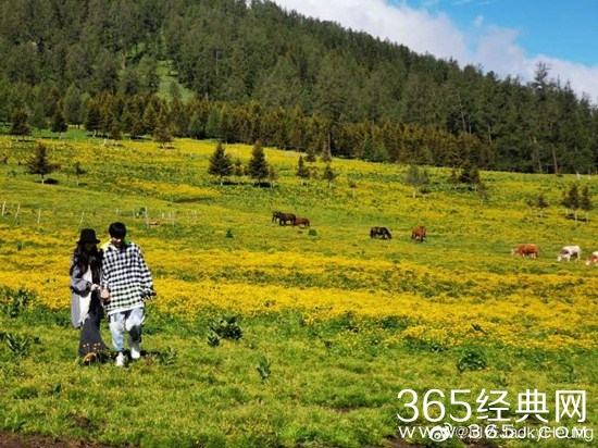 向太官宣郭碧婷怀孕  并透露预产期