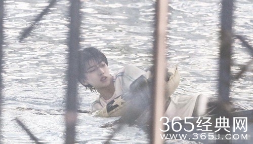 蔡徐坤的站姐上热搜  被评为是“最努力的站姐”