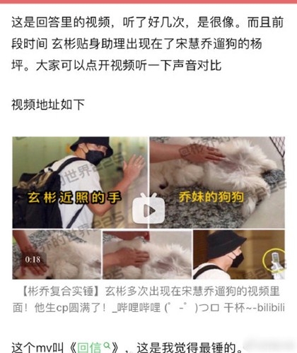 玄彬宋慧乔两人共同遛狗  疑似复合