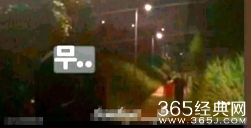 玄彬宋慧乔两人共同遛狗  疑似复合