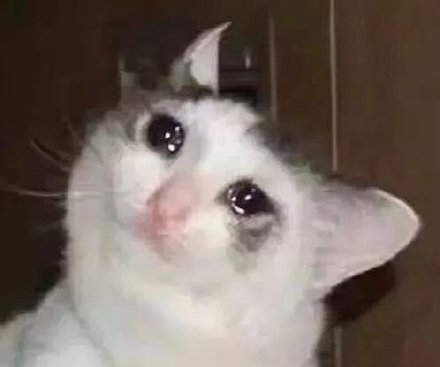 毛晓彤流泪猫猫头上热搜，这到底是怎么回事？