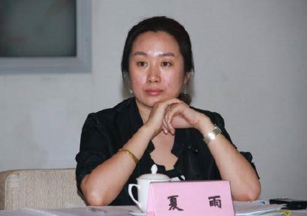 陈临春任2021年春晚总导演  陈临详细资料介绍