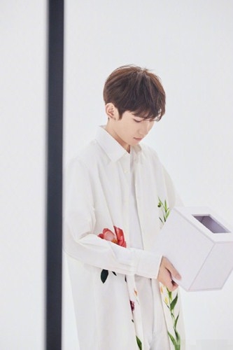 王源新歌《花瓣》MV上线  被夸赞创意满满