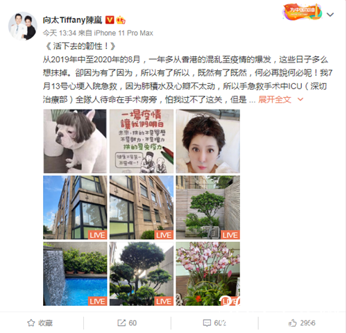 向太心梗康复出院是怎么回事？