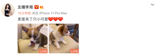 李湘王岳伦疑似离婚，夫妻二人伦名下公司已注销