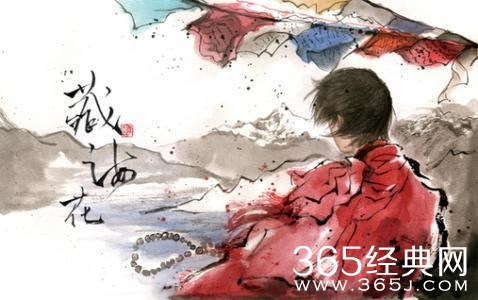 《藏海花》原著剧情