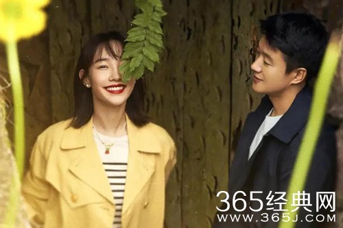 《我们的婚姻》沈彗星的工作