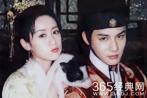 《祝卿好》播出平台