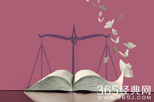 《女士的法则》播出平台