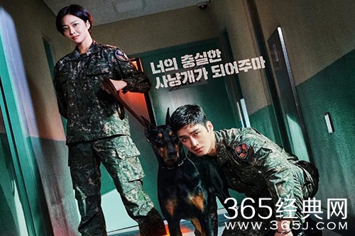 韩剧《军检察官多伯曼犬》剧情介绍