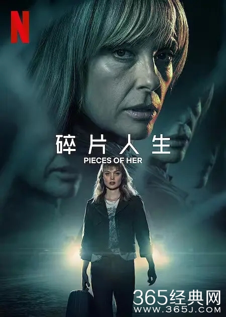 美剧《碎片人生》剧情介绍