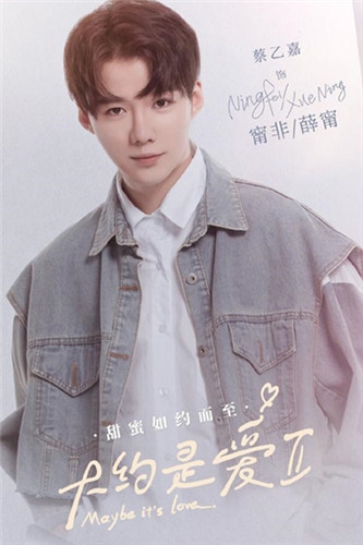 《大约是爱2》甯非薛甯介绍