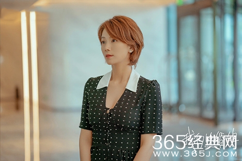 《我们的婚姻》蒋静李宇文关系