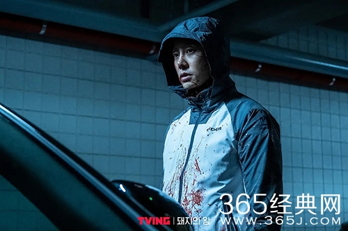 韩剧《猪猡之王》剧情介绍