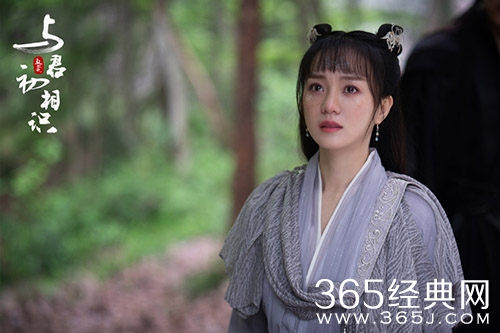 《与君初相识》人物关系图