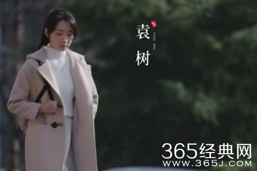 《我叫赵甲第》袁树人物介绍