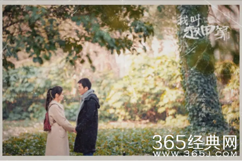 《我叫赵甲第》原著小说结局