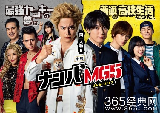 日剧《难破MG5》剧情介绍