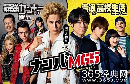 日剧《难破MG5》在线观看地址