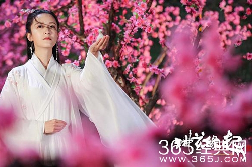 电影《桃花缘起》观看地址