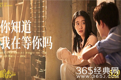 电影《暗恋橘生淮南》剧情介绍