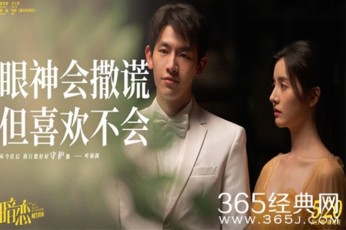 《暗恋橘生淮南》人物关系介绍