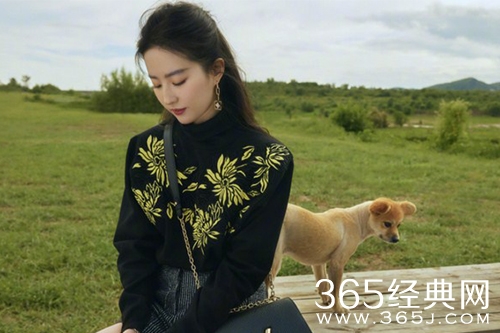 《去有风的地方》电视剧情节介绍