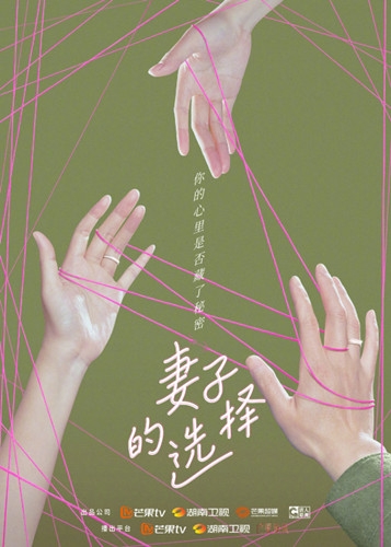 《妻子的选择》剧情介绍
