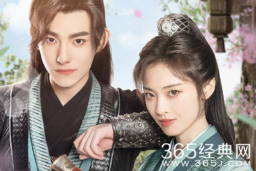 《双面赘婿》剧情介绍