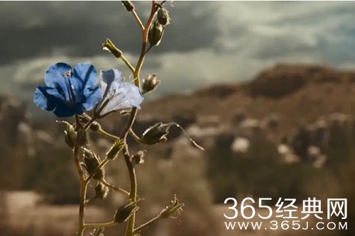 《风骚律师》第六季第八集播出时间