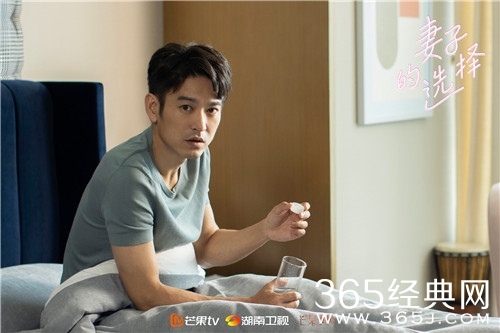 《妻子的选择》高家为感情线