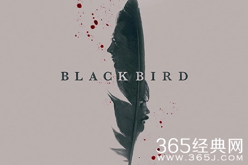 美剧《黑鸟》更新时间