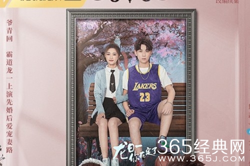 《龙一你要怎样》人物关系介绍