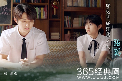 《天才基本法》林朝夕和裴之的关系