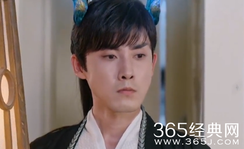 《沉香如屑》九鳍介绍