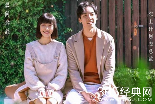 《告别薇安》剧情介绍